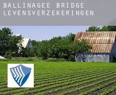 Ballinagee Bridge  levensverzekeringen