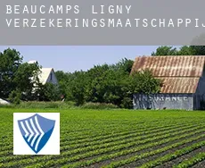 Beaucamps-Ligny  verzekeringsmaatschappij