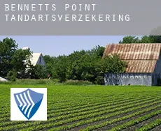 Bennetts Point  tandartsverzekering