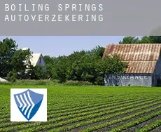Boiling Springs  autoverzekering