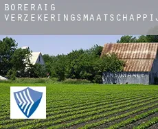 Boreraig  verzekeringsmaatschappij