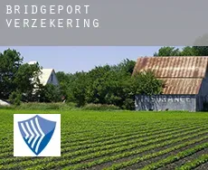 Bridgeport  verzekering