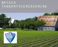 Brisco  tandartsverzekering