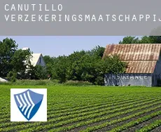 Canutillo  verzekeringsmaatschappij