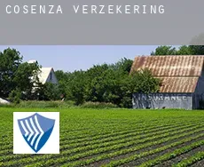 Provincia di Cosenza  verzekering
