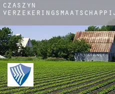 Czaszyn  verzekeringsmaatschappij