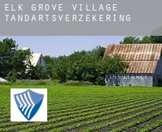 Elk Grove Village tandartsverzekering