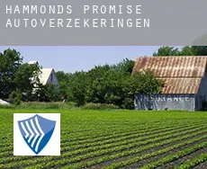 Hammonds Promise  autoverzekeringen