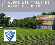 La Queue-les-Yvelines  autoverzekeringen