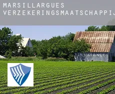 Marsillargues verzekeringsmaatschappij