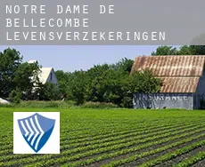 Notre-Dame-de-Bellecombe  levensverzekeringen