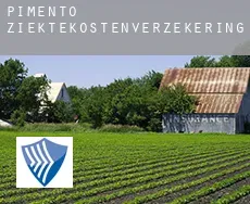 Pimento ziektekostenverzekering