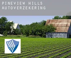 Pineview Hills autoverzekering