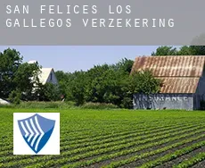 San Felices de los Gallegos  verzekering