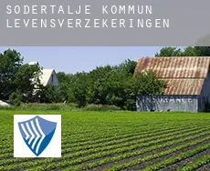 Södertälje Kommun  levensverzekeringen