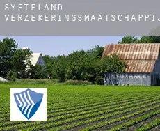Syfteland  verzekeringsmaatschappij