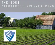 The Gore  ziektekostenverzekering