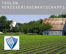 Toulon  verzekeringsmaatschappij