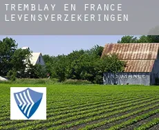 Tremblay-en-France levensverzekeringen