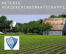Wateree  verzekeringsmaatschappij
