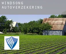 Windsong  autoverzekering