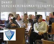 Dwarf  verzekeringsmaatschappij