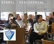 Normal  verzekering