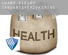 Champ Fleury  tandartsverzekering