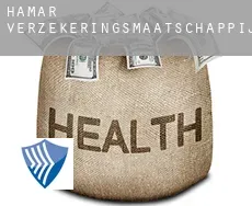 Hamar  verzekeringsmaatschappij