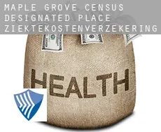 Maple Grove  ziektekostenverzekering