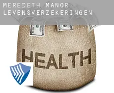 Meredeth Manor  levensverzekeringen