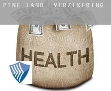 Pine Land  verzekering