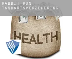 Rabbit Run  tandartsverzekering
