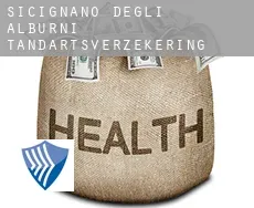 Sicignano degli Alburni  tandartsverzekering