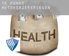 Te Pohue  autoverzekeringen