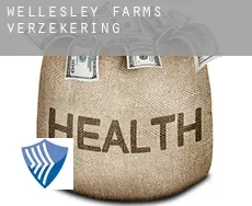 Wellesley Farms  verzekering