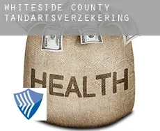 Whiteside County  tandartsverzekering