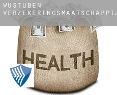 Wustuben  verzekeringsmaatschappij