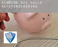 Alameda del Valle  autoverzekering