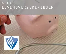 Aloe  levensverzekeringen