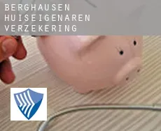 Berghausen  huiseigenaren verzekering