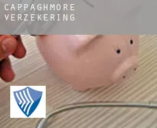 Cappaghmore  verzekering