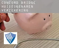 Concord Bridge  huiseigenaren verzekering
