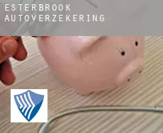 Esterbrook  autoverzekering