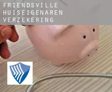 Friendsville  huiseigenaren verzekering