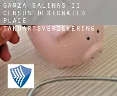 Garza-Salinas II tandartsverzekering
