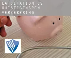 Citation (census area)  huiseigenaren verzekering