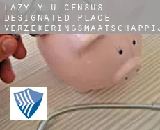 Lazy Y U  verzekeringsmaatschappij