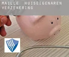 Maillé huiseigenaren verzekering