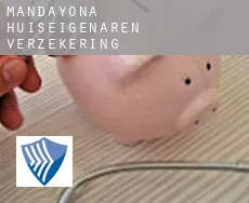 Mandayona  huiseigenaren verzekering